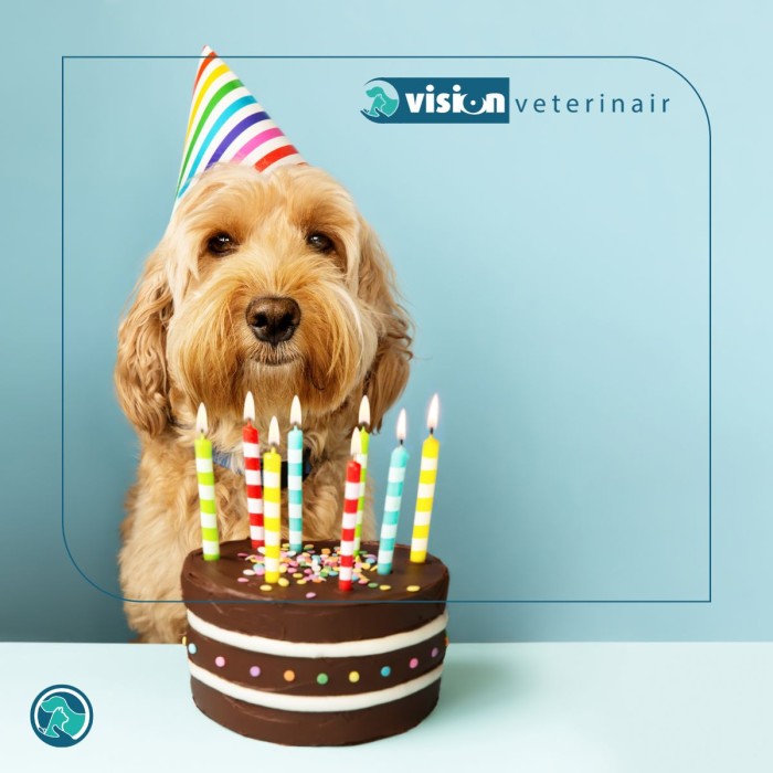 Webshop Veterinair Geopend